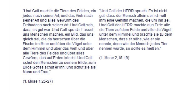 Widersprüche In Der Bibel Liste